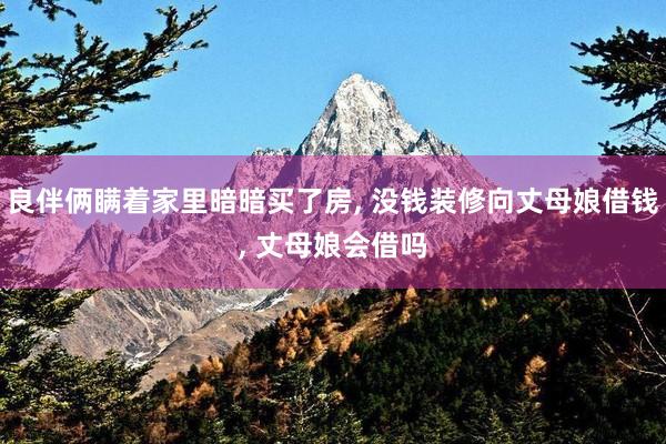 良伴俩瞒着家里暗暗买了房, 没钱装修向丈母娘借钱, 丈母娘会借吗