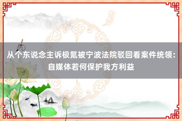 从个东说念主诉极氪被宁波法院驳回看案件统领：自媒体若何保护我方利益