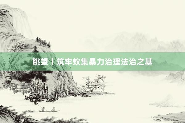 眺望丨筑牢蚁集暴力治理法治之基