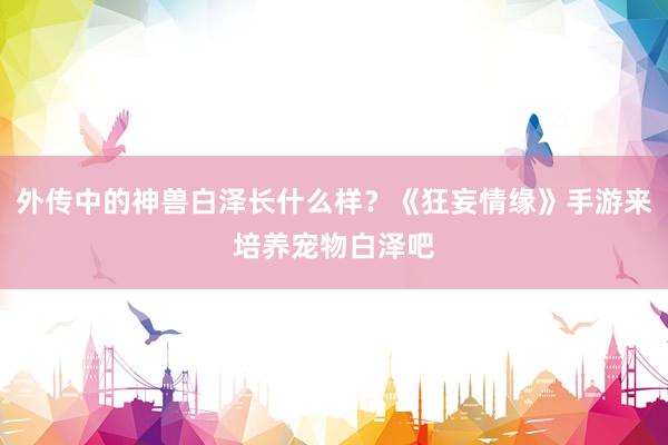 外传中的神兽白泽长什么样？《狂妄情缘》手游来培养宠物白泽吧
