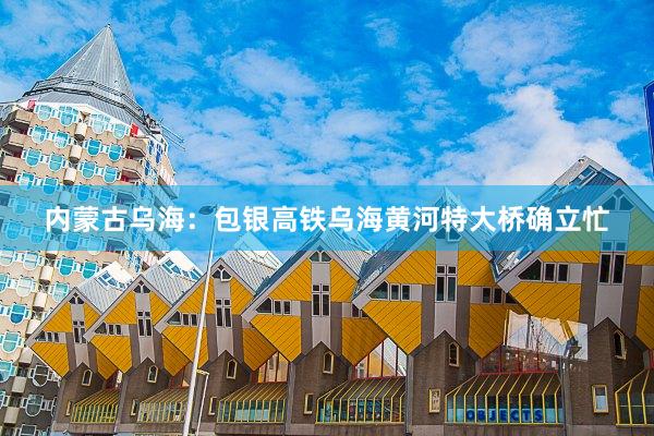 内蒙古乌海：包银高铁乌海黄河特大桥确立忙