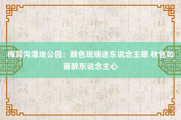 梅洞沟湿地公园：颜色斑斓迷东说念主眼 秋色如画醉东说念主心
