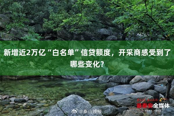 新增近2万亿“白名单”信贷额度，开采商感受到了哪些变化？