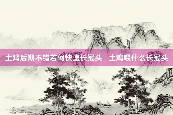 土鸡后期不错若何快速长冠头   土鸡喂什么长冠头